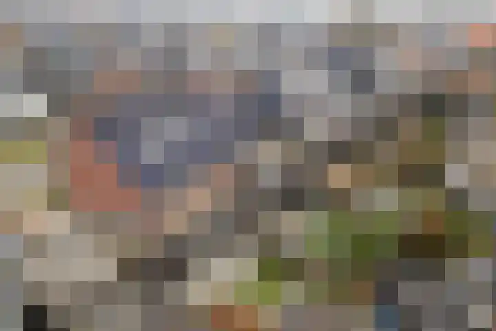 Hoevesteinse Lint 8 Hoef en Haag thumbnail 49