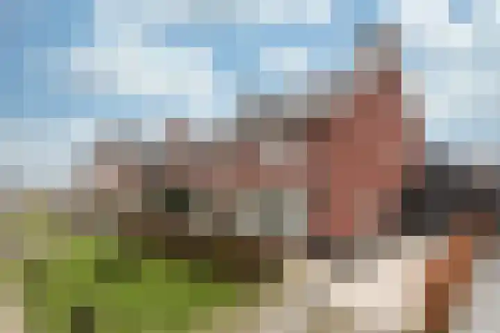 Hoevesteinse Lint 8 Hoef en Haag thumbnail 50