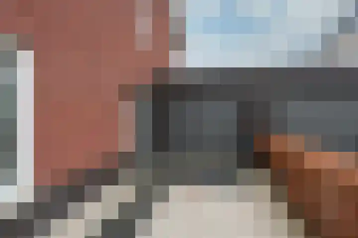 Hoevesteinse Lint 8 Hoef en Haag thumbnail 51