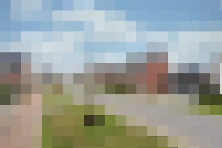 Hoevesteinse Lint 8 Hoef en Haag thumbnail 53