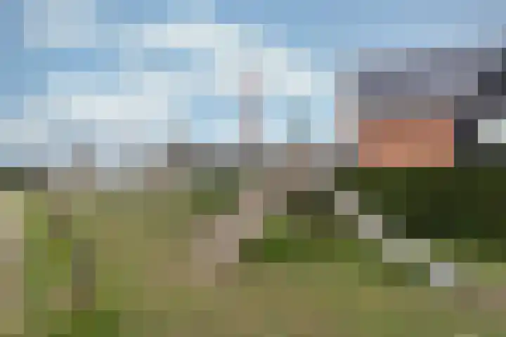 Hoevesteinse Lint 8 Hoef en Haag thumbnail 55