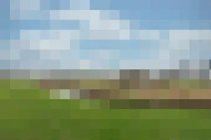 Hoevesteinse Lint 8 Hoef en Haag thumbnail 56