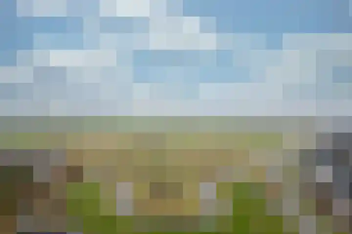 Hoevesteinse Lint 8 Hoef en Haag thumbnail 57