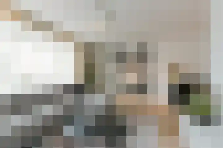 Hoevesteinse Lint 8 Hoef en Haag thumbnail 7