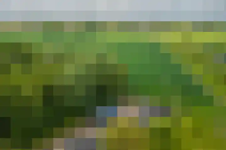 Hoevestraat 16 Zevenaar thumbnail 34