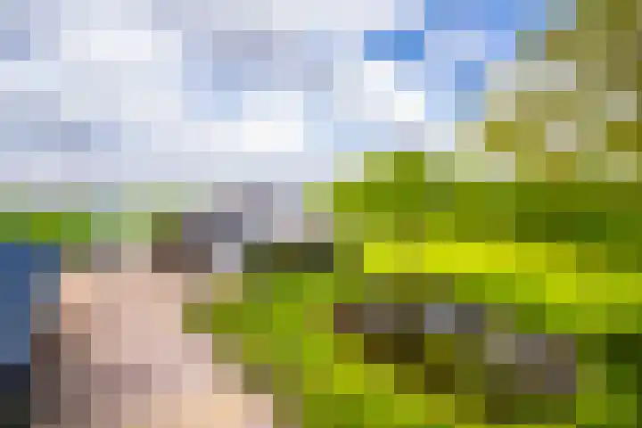 Hoevestraat 16 Zevenaar thumbnail 4