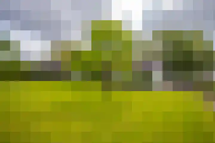 Hoevestraat 16 Zevenaar thumbnail 55