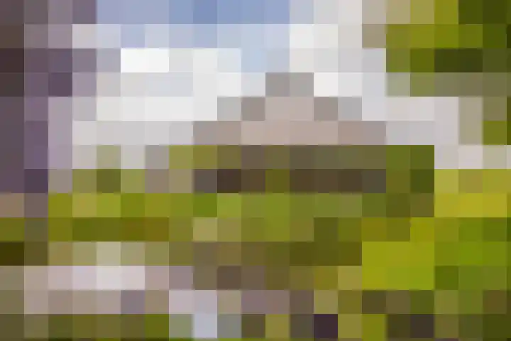 Hoevestraat 16 Zevenaar thumbnail 6