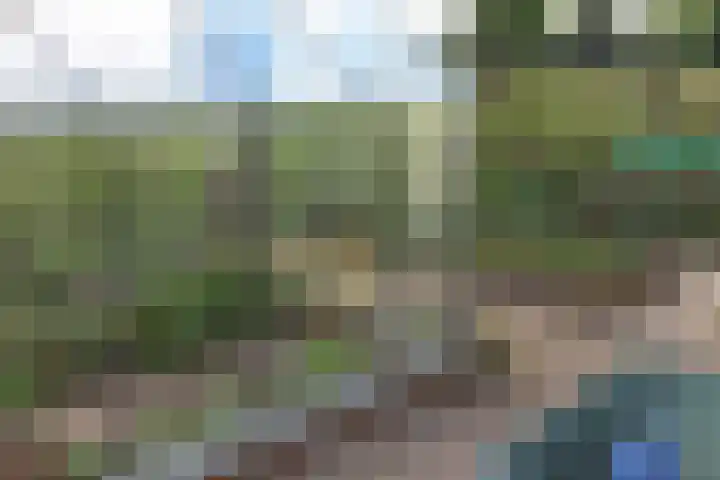 Hoevestraat 16 Zevenaar thumbnail 75