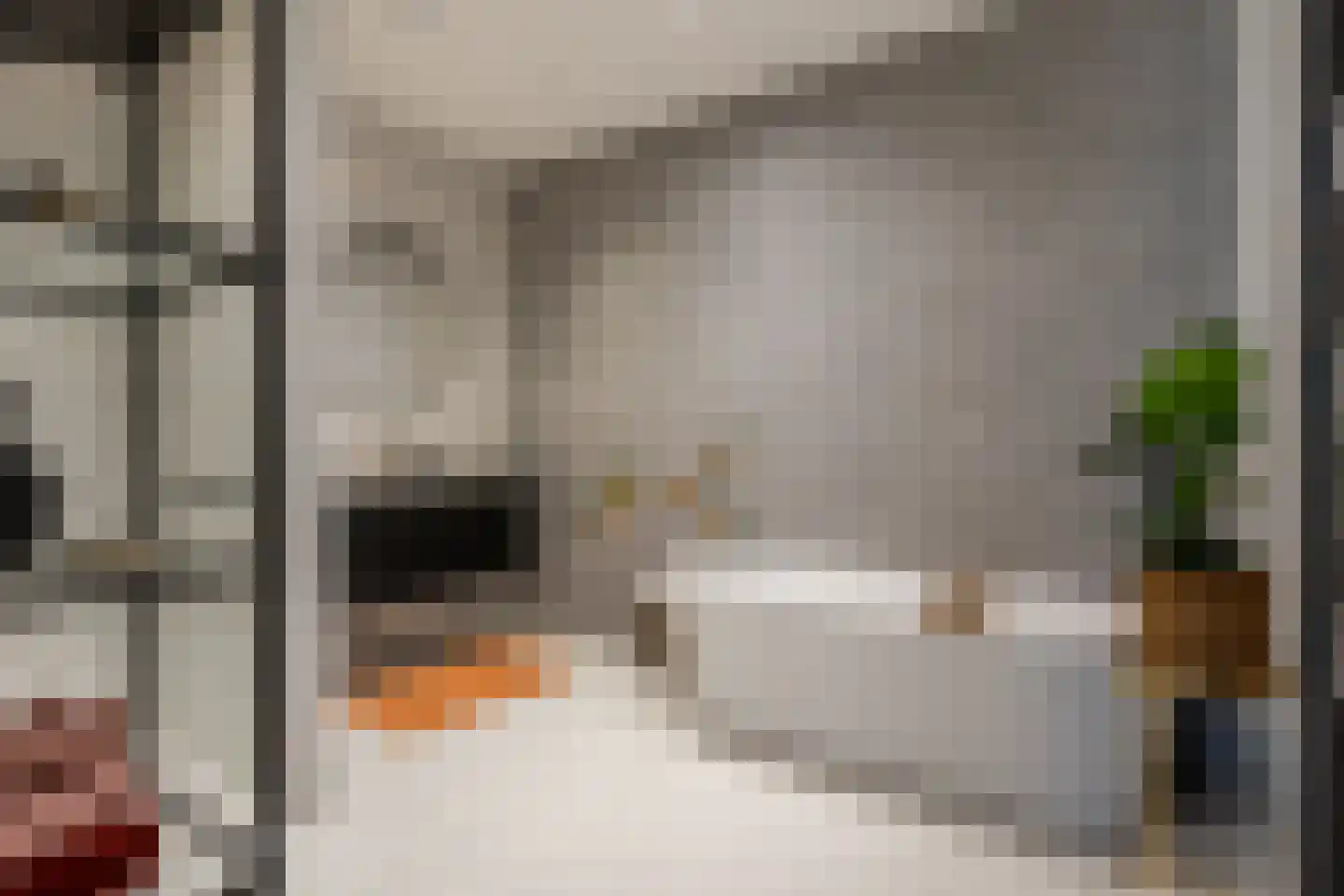 Hoevestraat 24 B Rotterdam thumbnail 22