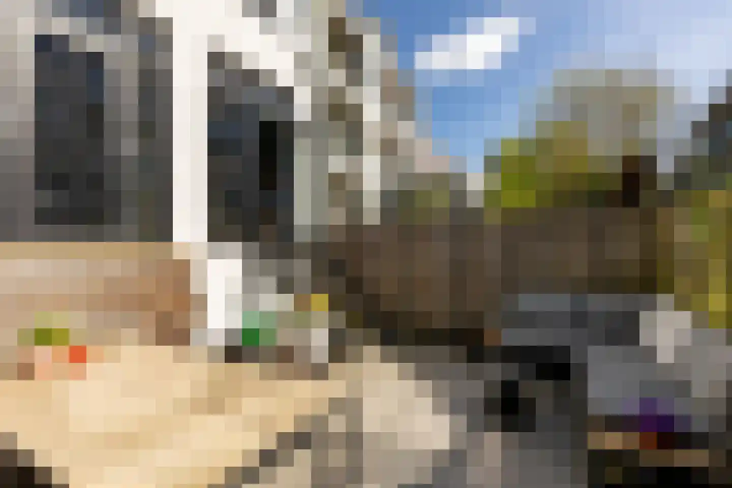 Hoevestraat 24 B Rotterdam thumbnail 28