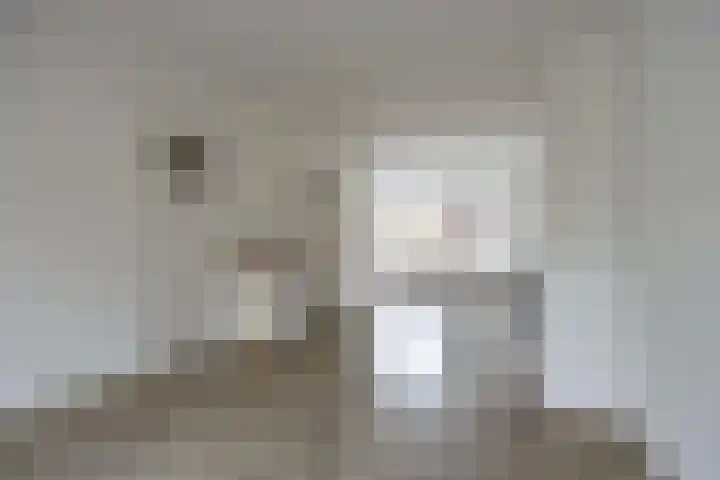 Hoevestraat 44 C Rotterdam thumbnail 9