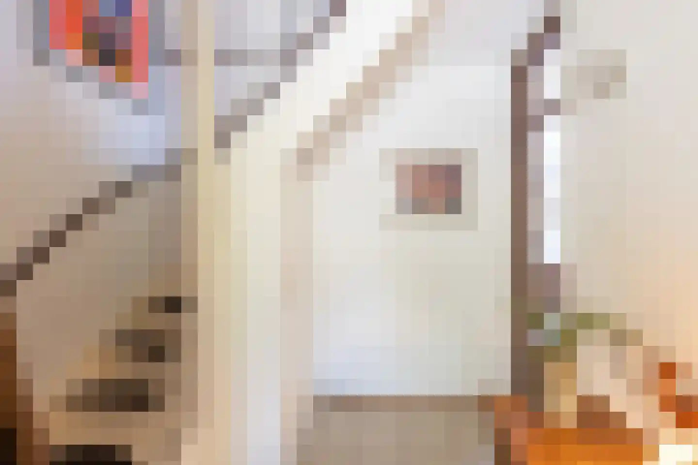 Hoeveweg 2 b Neede thumbnail 11