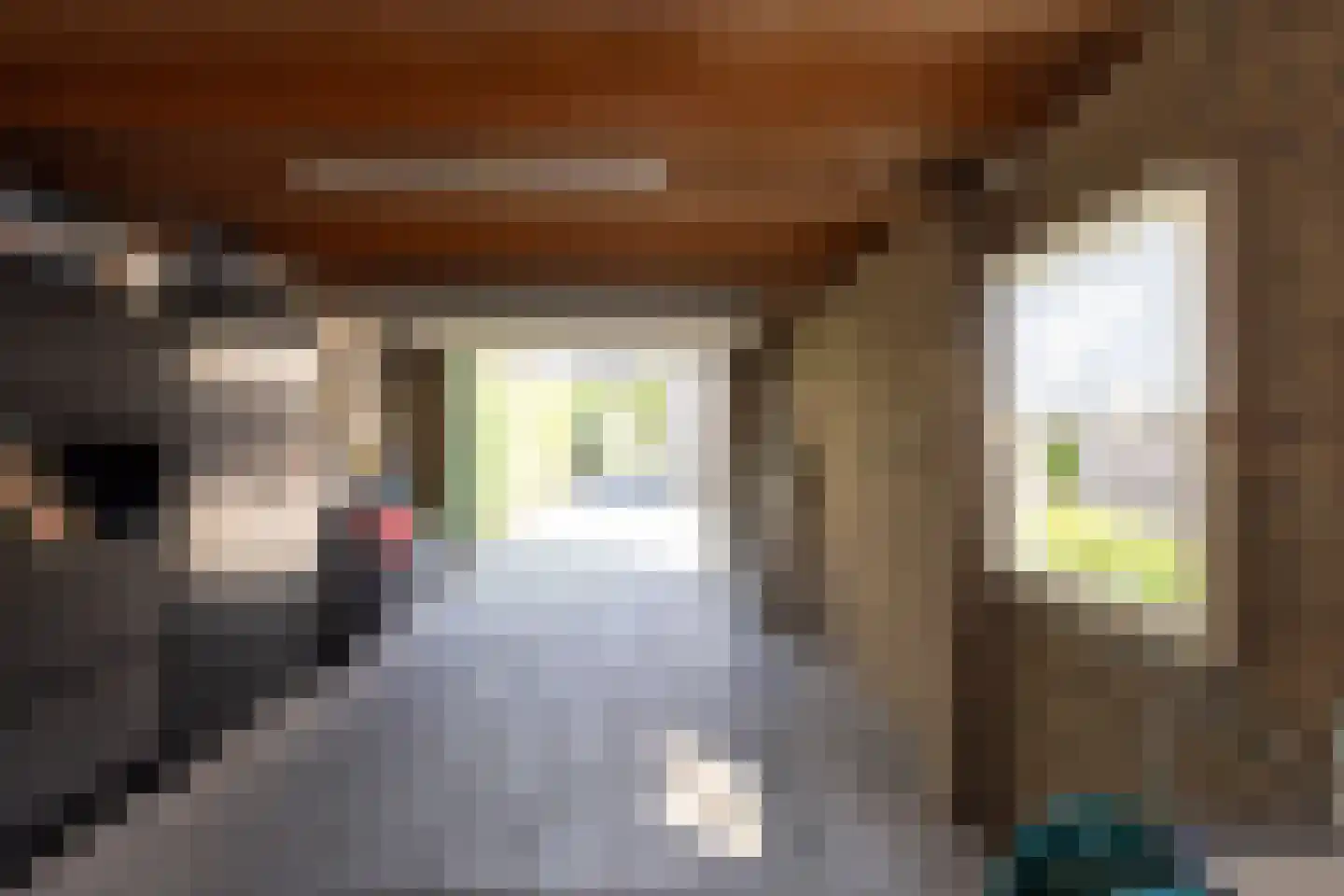 Hoeveweg 2 b Neede thumbnail 32