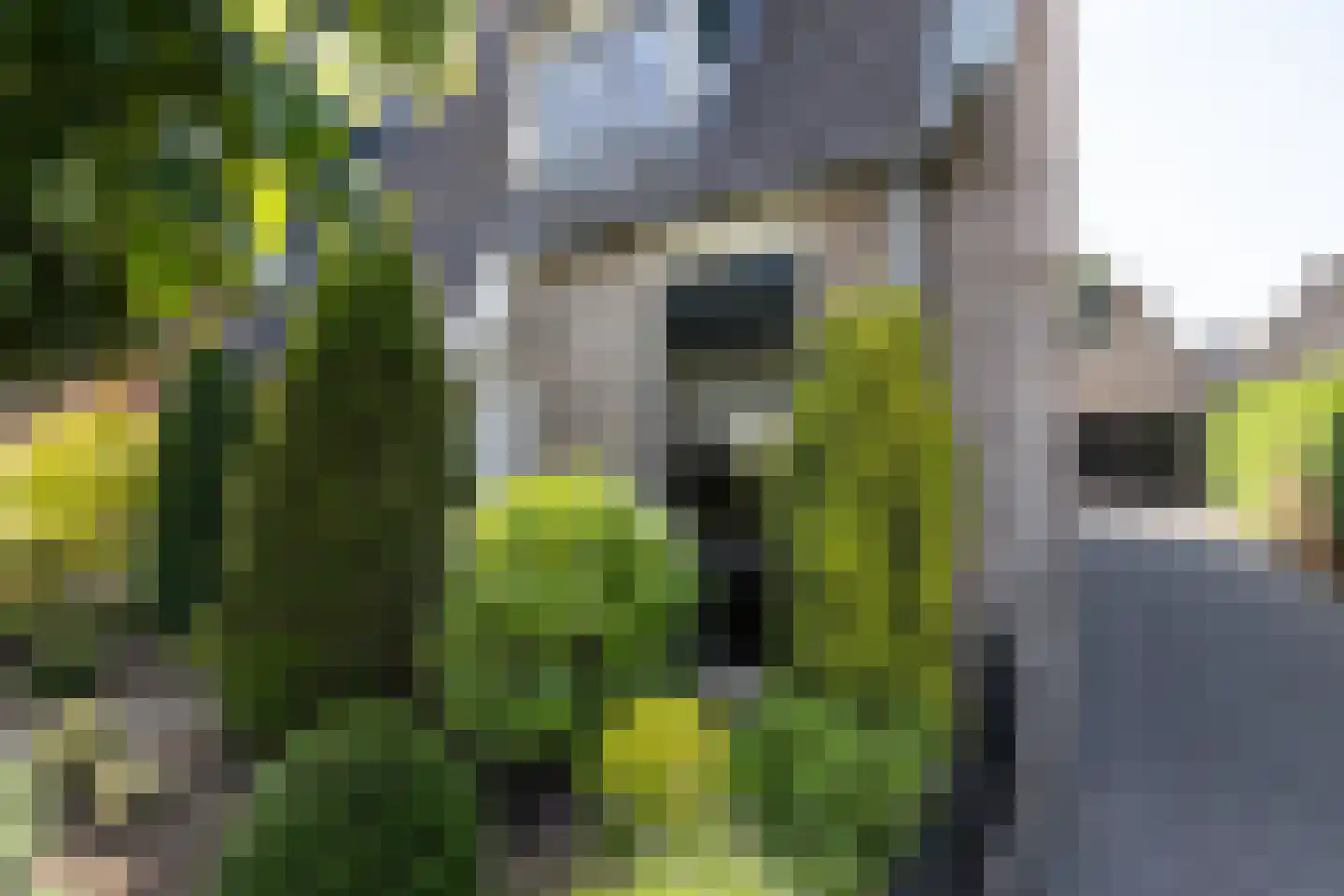 Hoeveweg 2 b Neede thumbnail 35