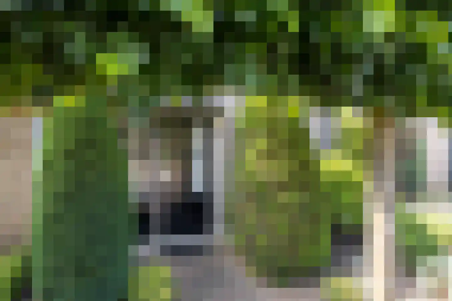 Hoeveweg 2 b Neede thumbnail 36