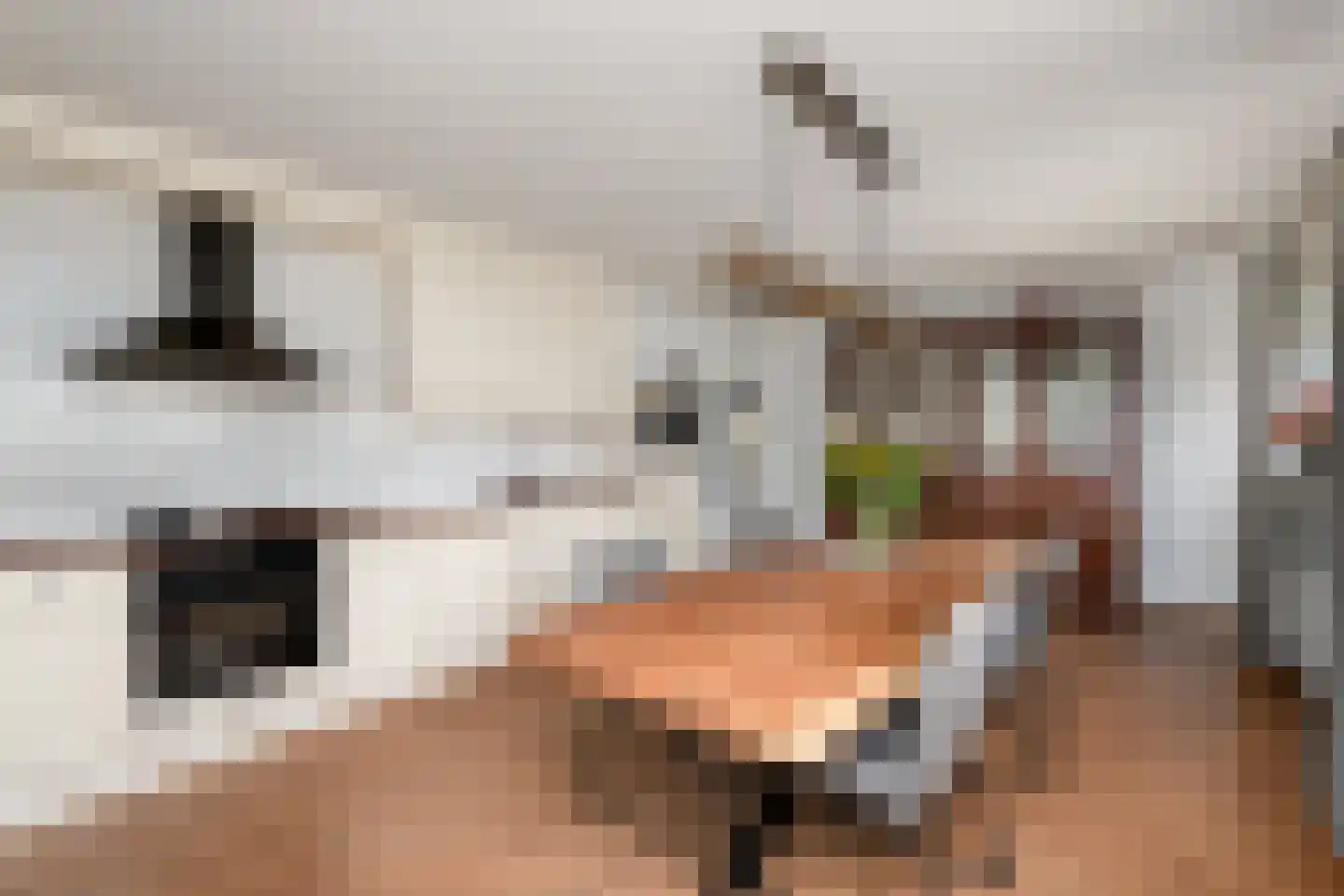 Hoeveweg 22 De Hoeve thumbnail 12