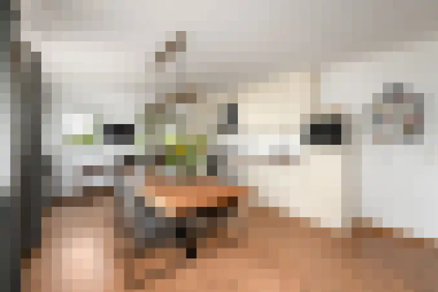 Hoeveweg 22 De Hoeve thumbnail 13