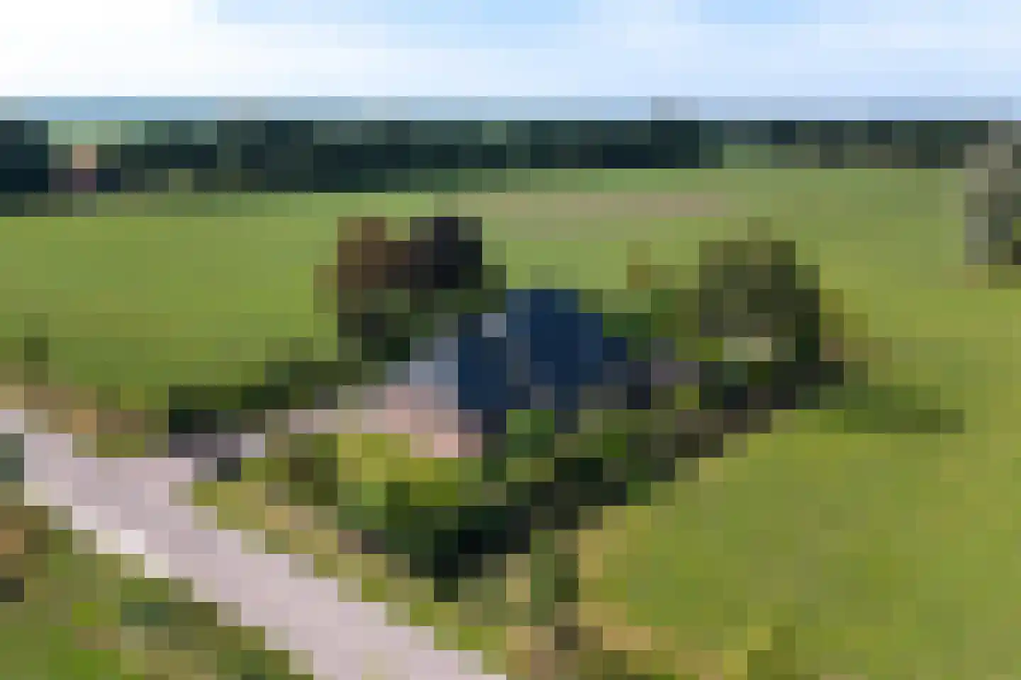Hoeveweg 22 De Hoeve foto 2