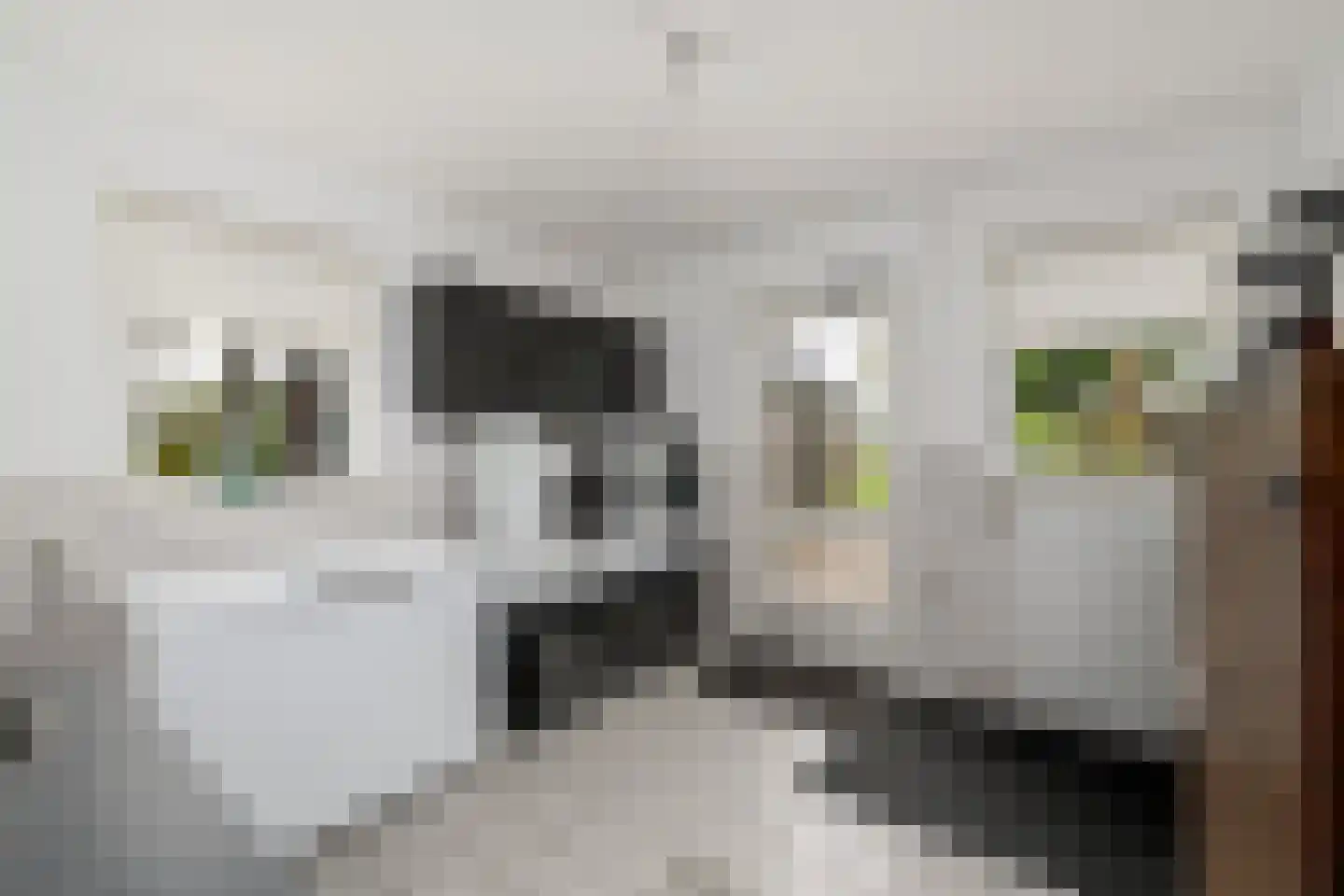 Hoeveweg 22 De Hoeve thumbnail 21