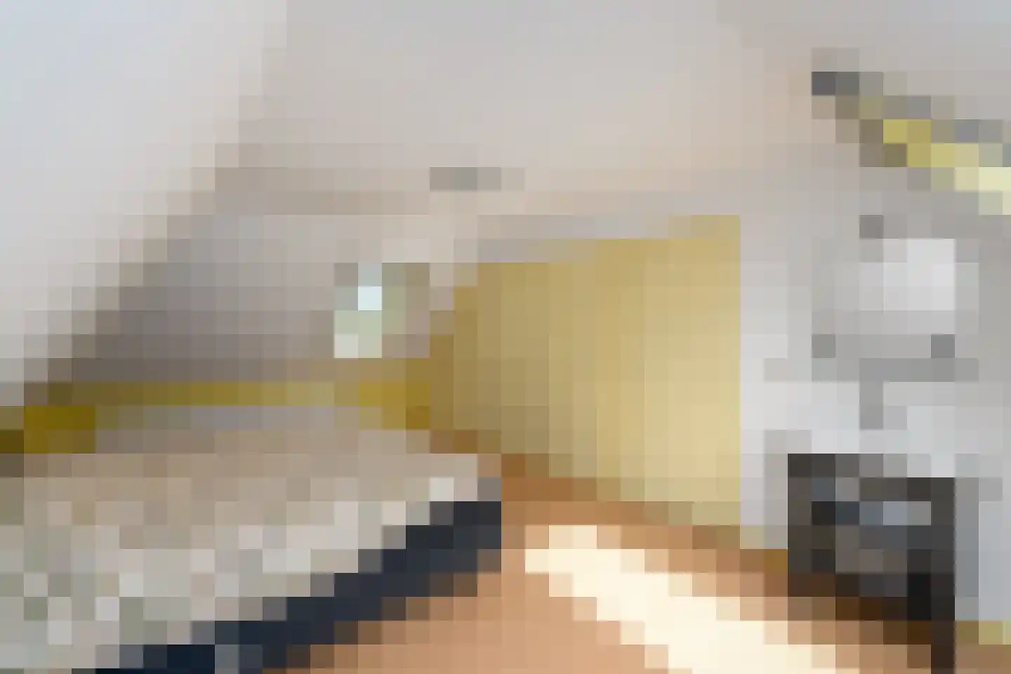 Hoeveweg 22 De Hoeve thumbnail 25
