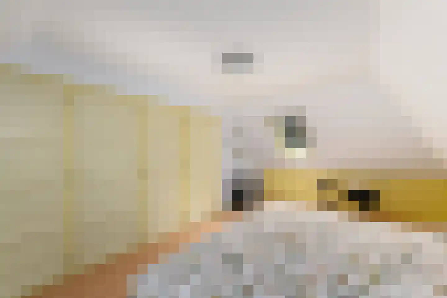 Hoeveweg 22 De Hoeve thumbnail 26
