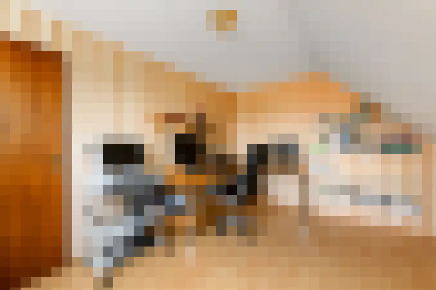 Hoeveweg 22 De Hoeve thumbnail 28