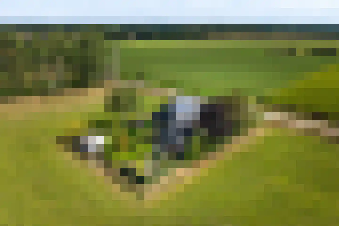 Hoeveweg 22 De Hoeve thumbnail 30