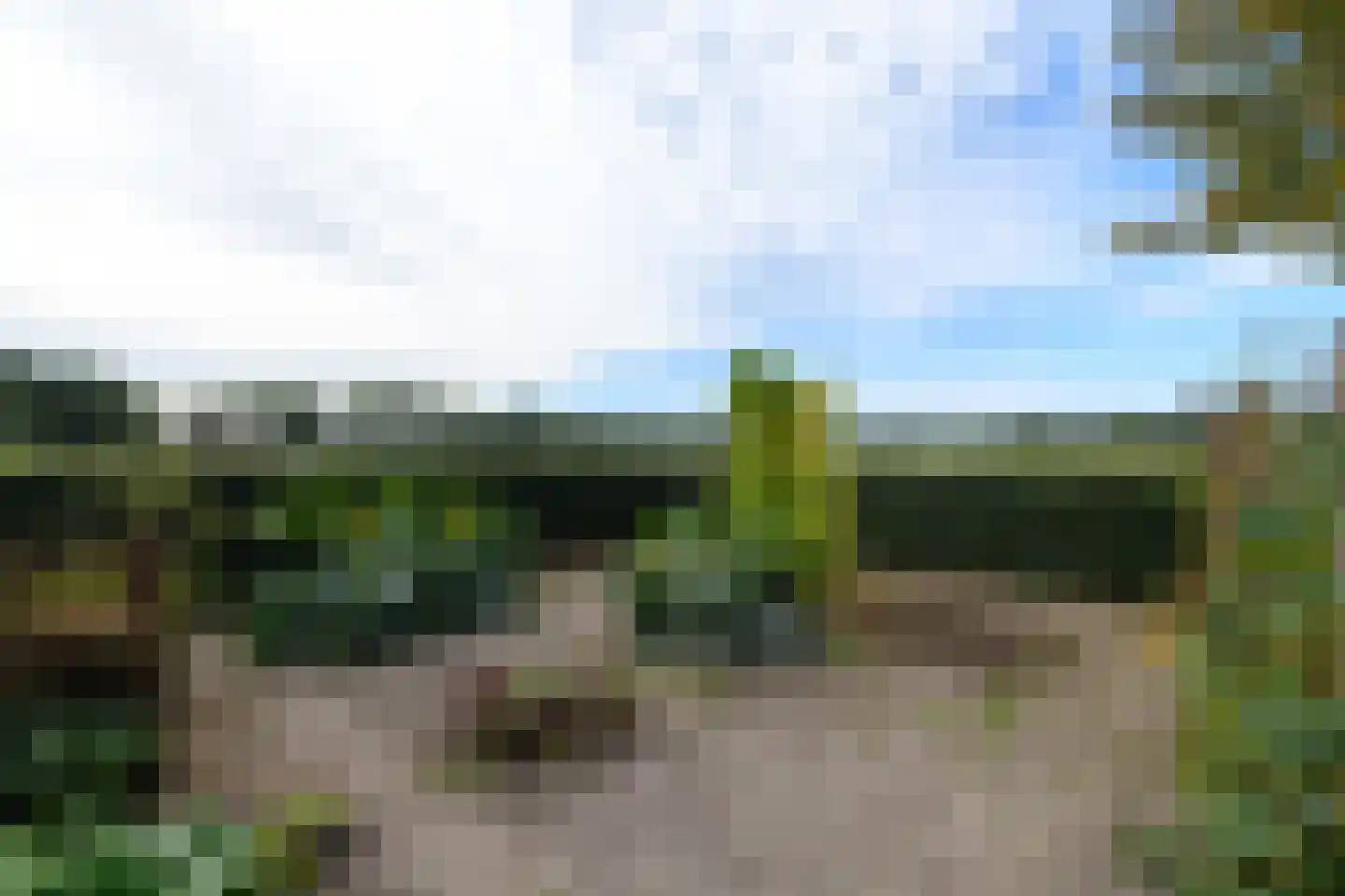 Hoeveweg 22 De Hoeve thumbnail 35