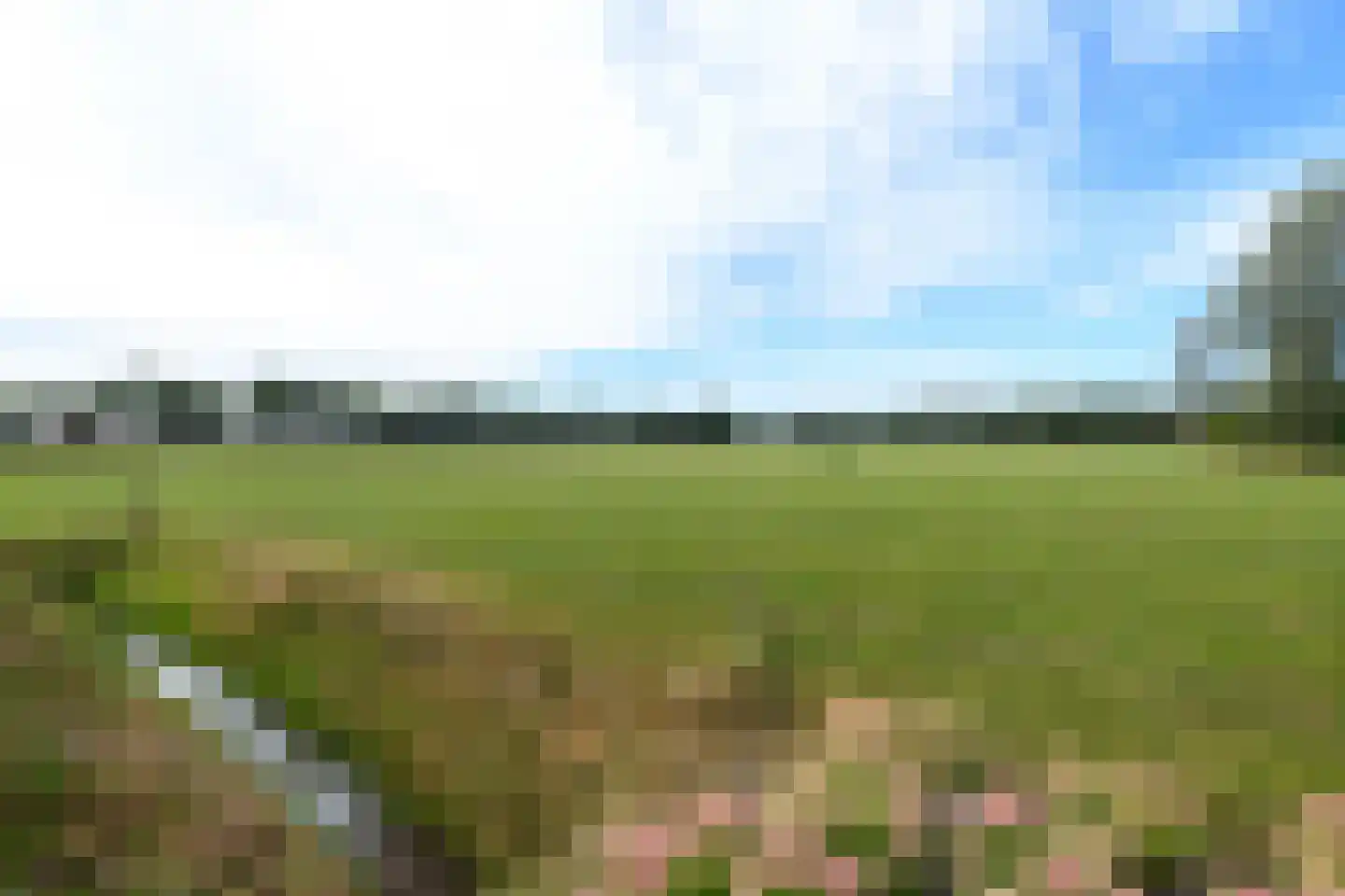 Hoeveweg 22 De Hoeve thumbnail 45