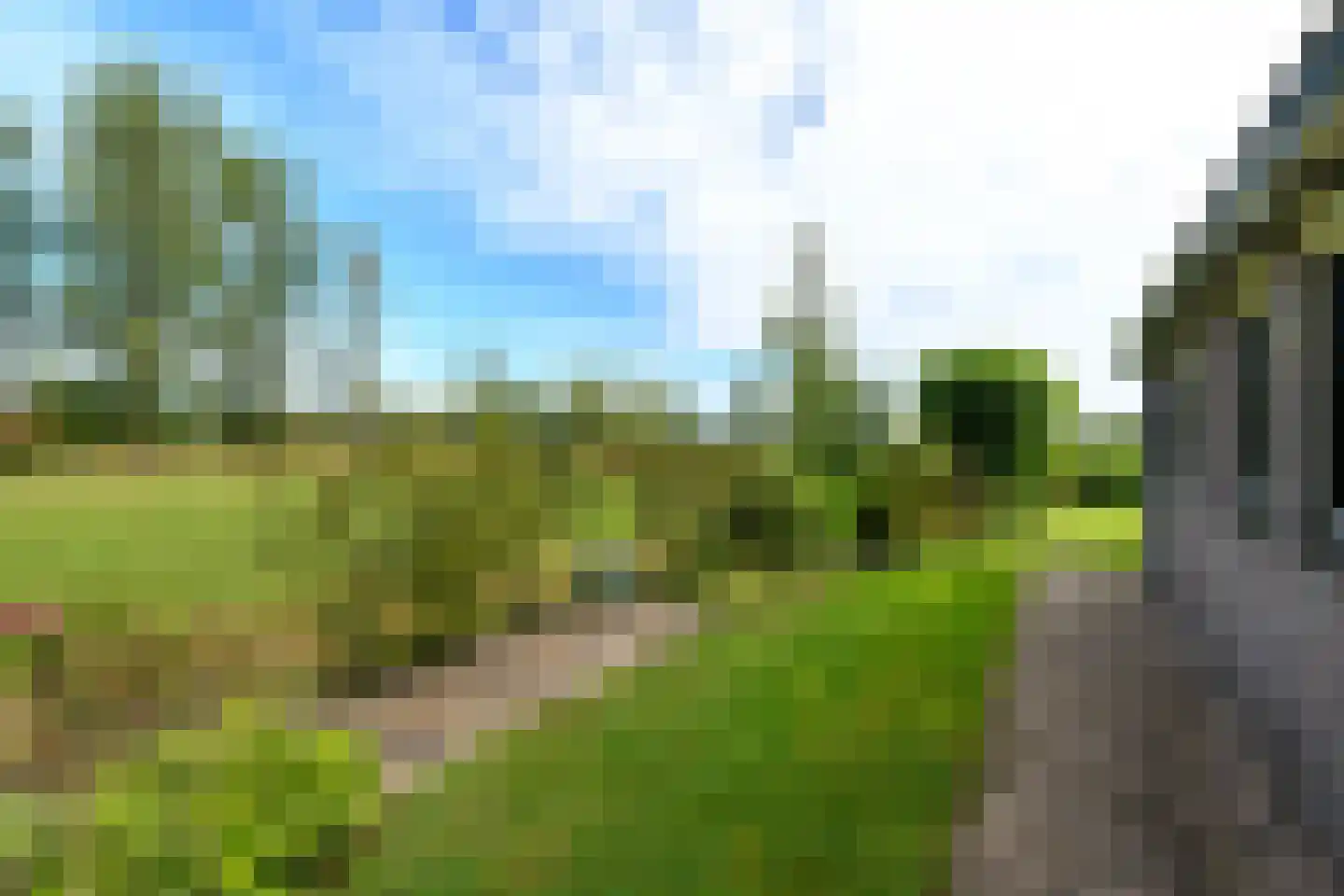 Hoeveweg 22 De Hoeve thumbnail 49