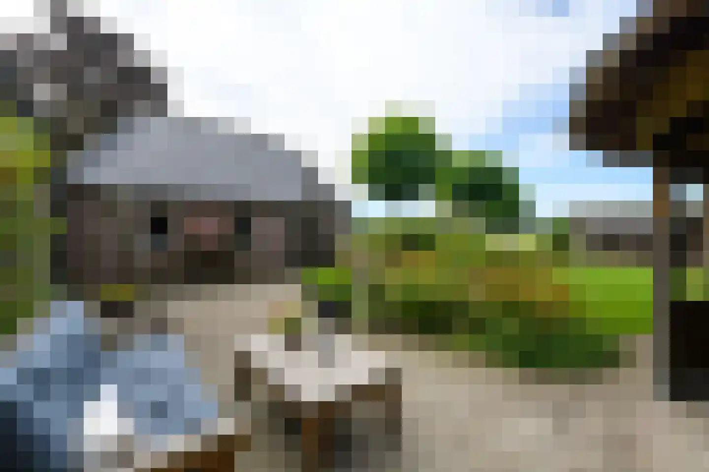 Hoeveweg 22 De Hoeve thumbnail 5