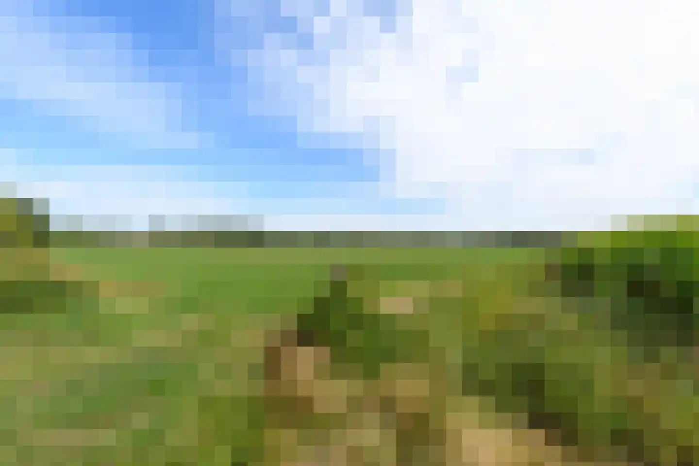 Hoeveweg 22 De Hoeve thumbnail 50