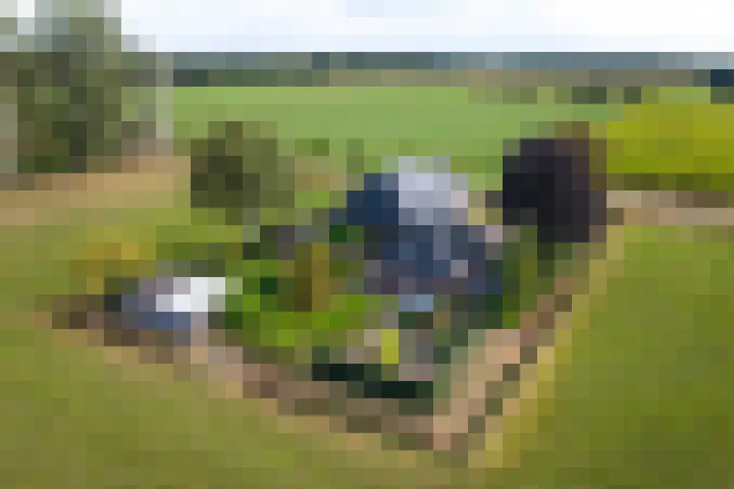 Hoeveweg 22 De Hoeve thumbnail 54