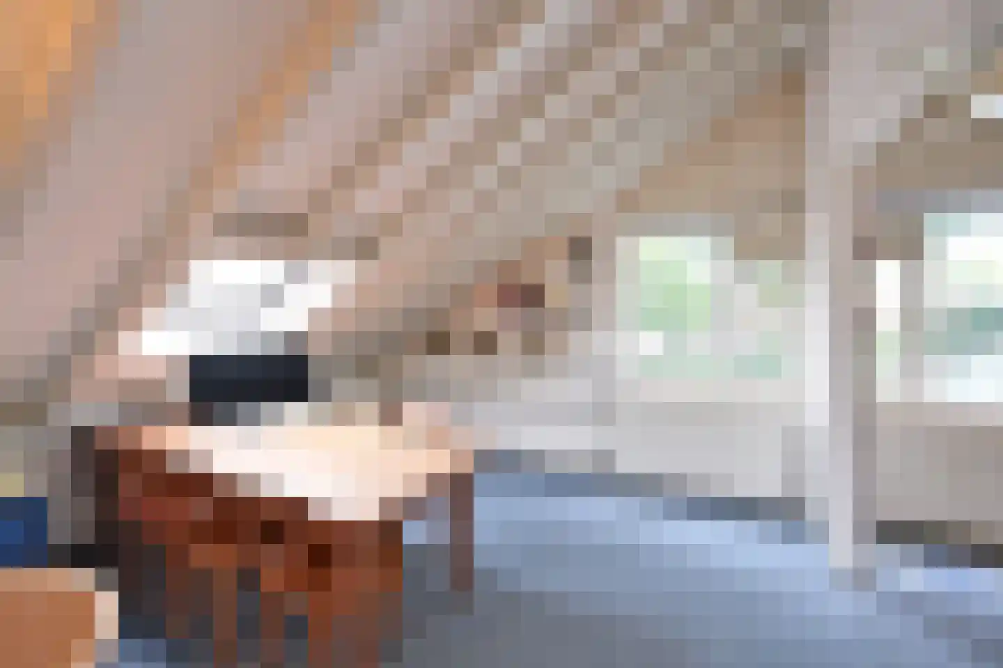 Hoeveweg 23 Huizen thumbnail 16