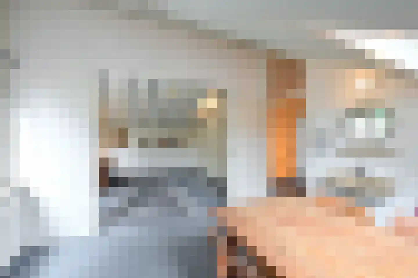 Hoeveweg 23 Huizen thumbnail 18