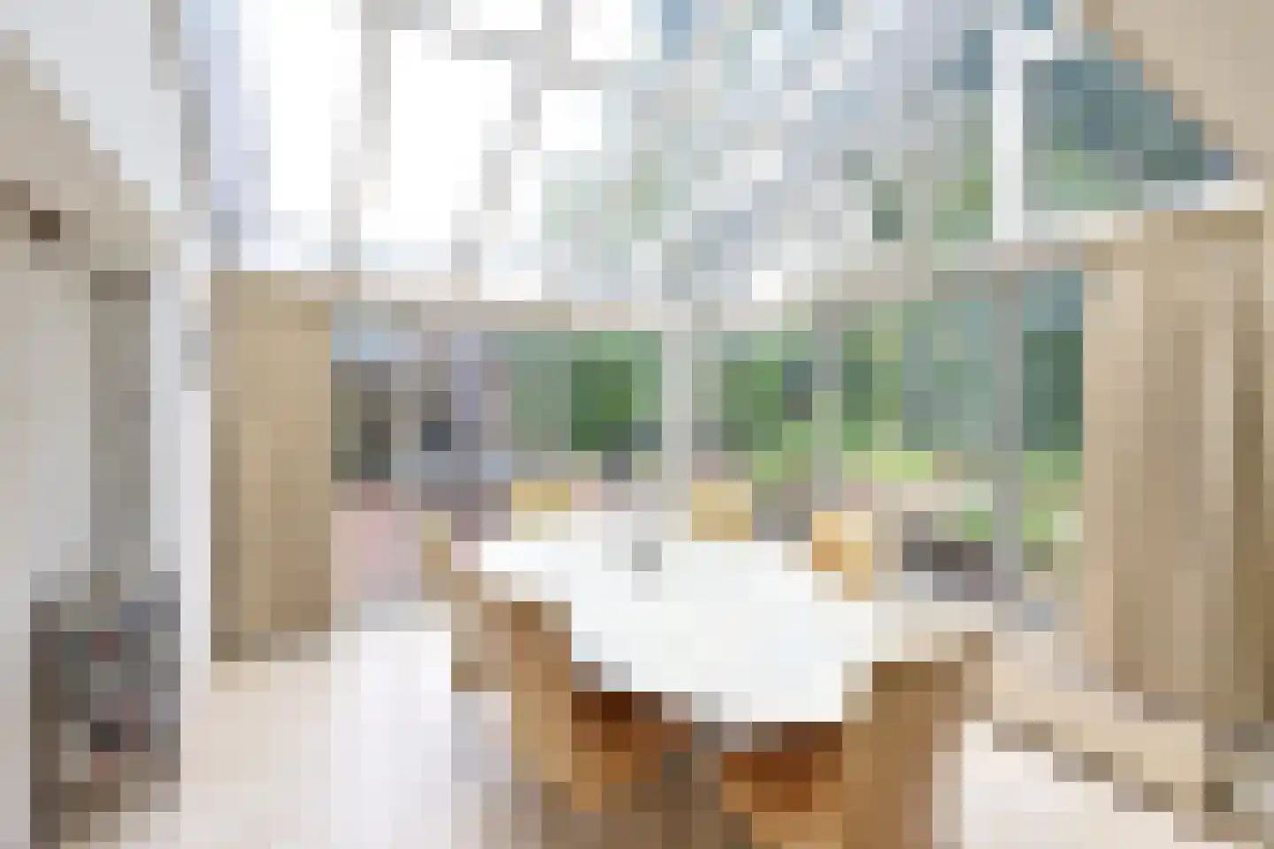 Hoeveweg 23 Huizen thumbnail 4