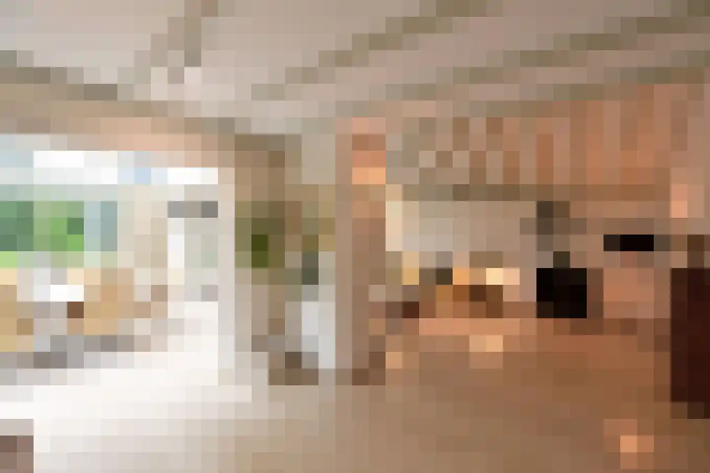 Hoeveweg 23 Huizen thumbnail 5