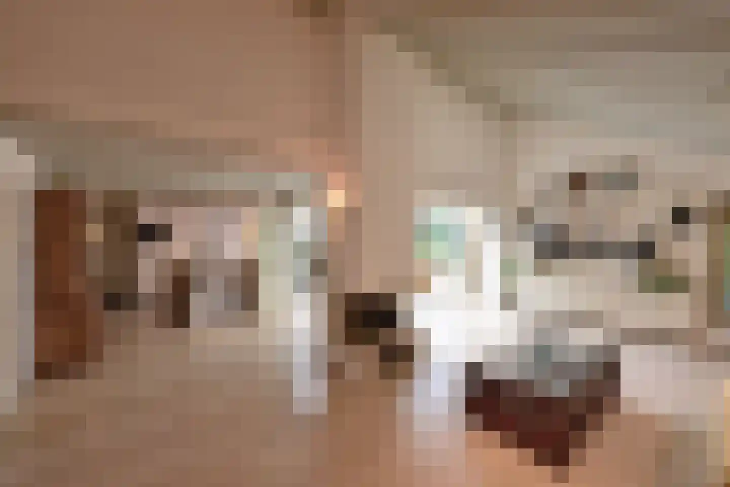 Hoeveweg 23 Huizen thumbnail 6