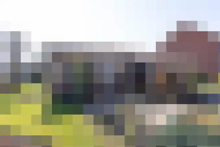 Hoeveweg 32 Neede thumbnail 23