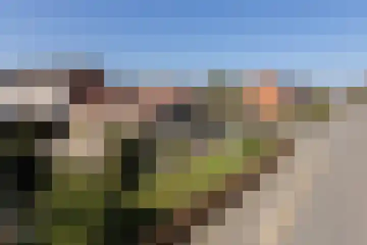 Hoeveweg 32 Neede thumbnail 26