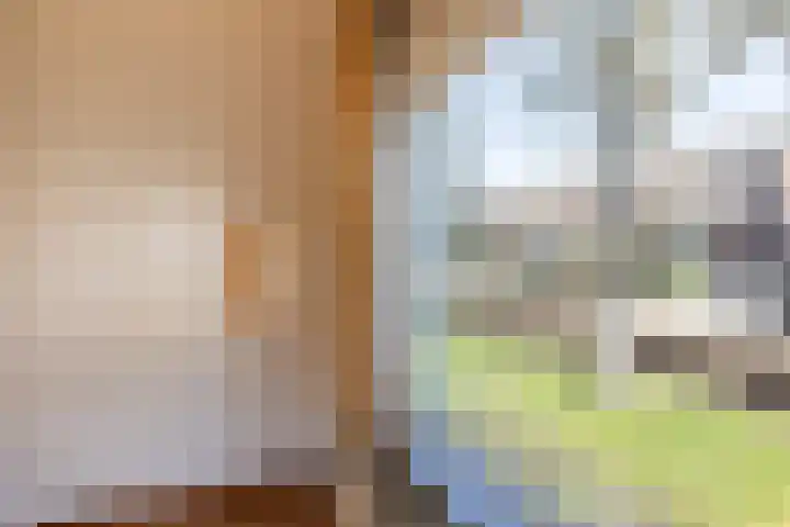 Hoeveweg 32 Neede thumbnail 4