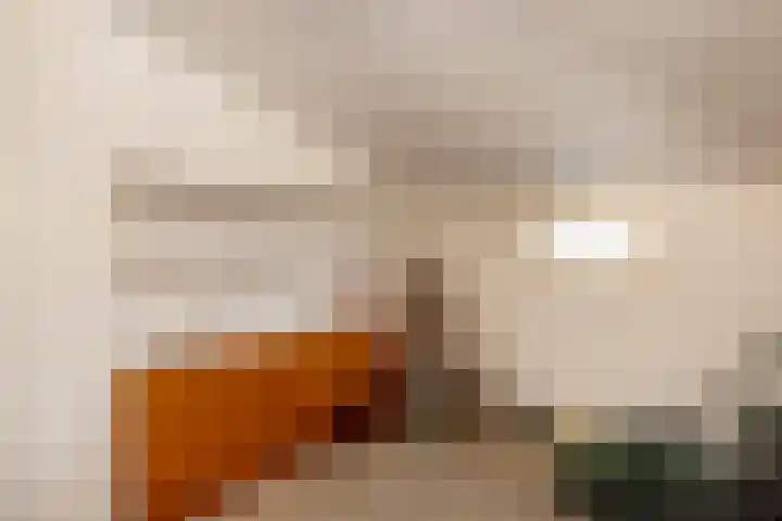 Hoeveweg 32 Neede thumbnail 9