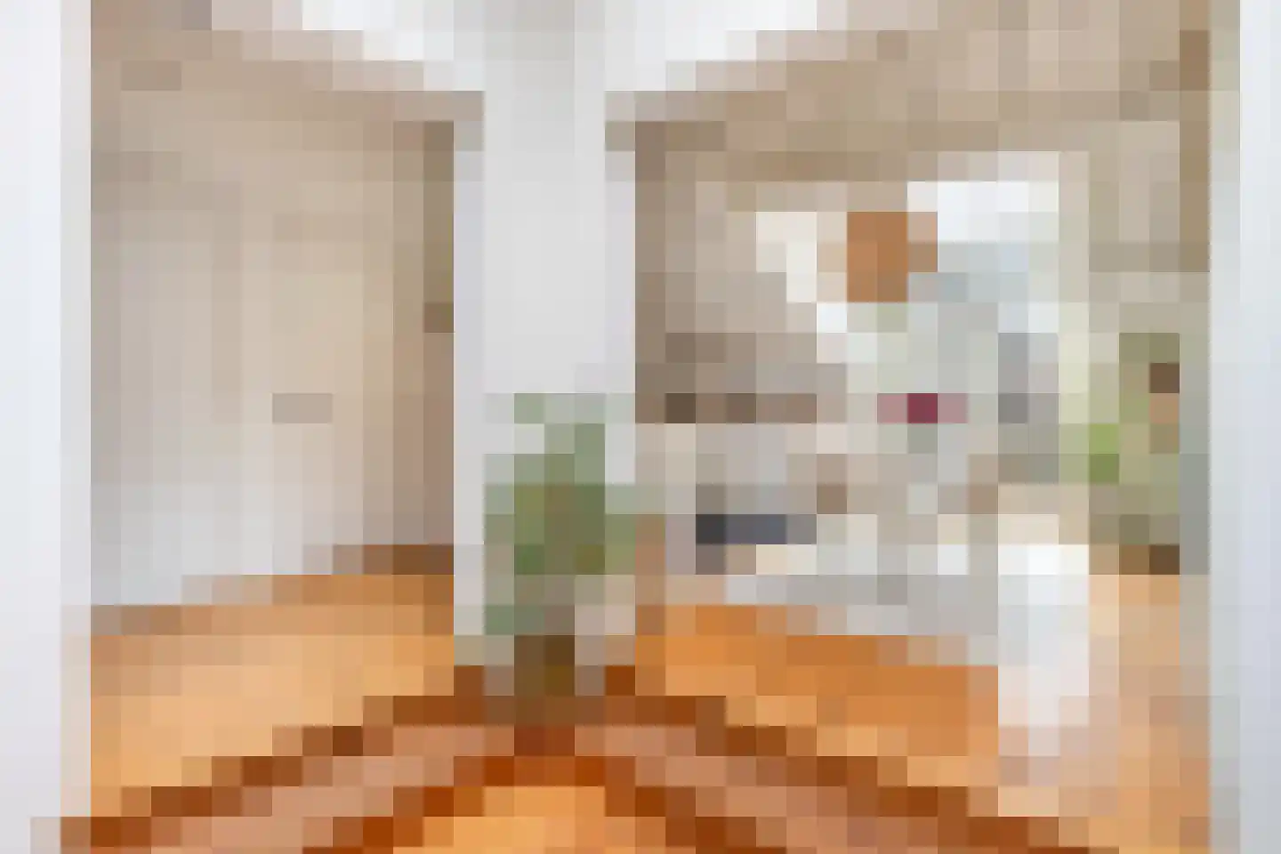 Hof 1 A Dordrecht thumbnail 20
