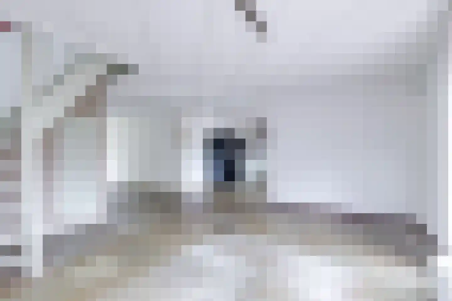 Hof 12 Midwoud thumbnail 20