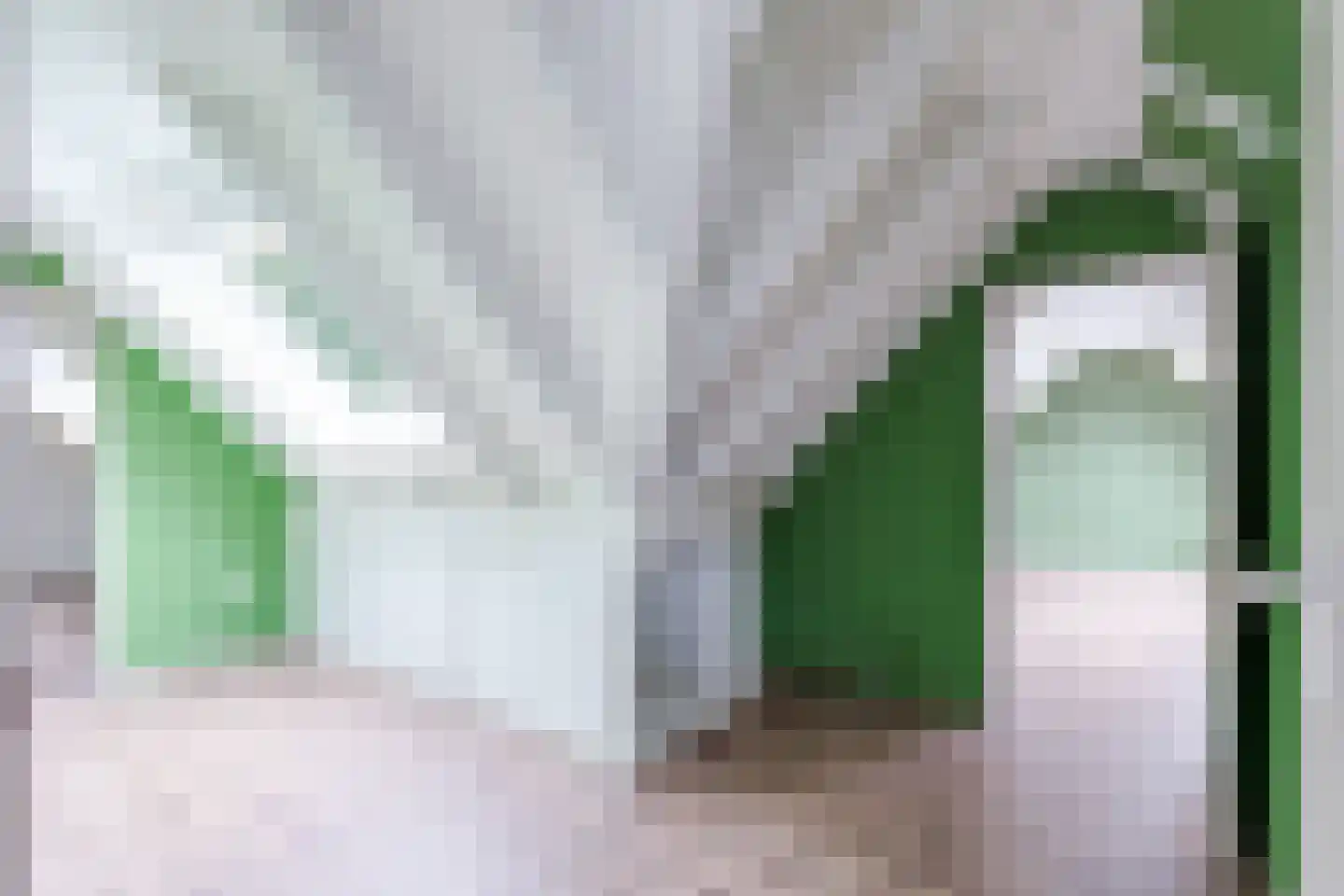 Hof 12 Midwoud thumbnail 39