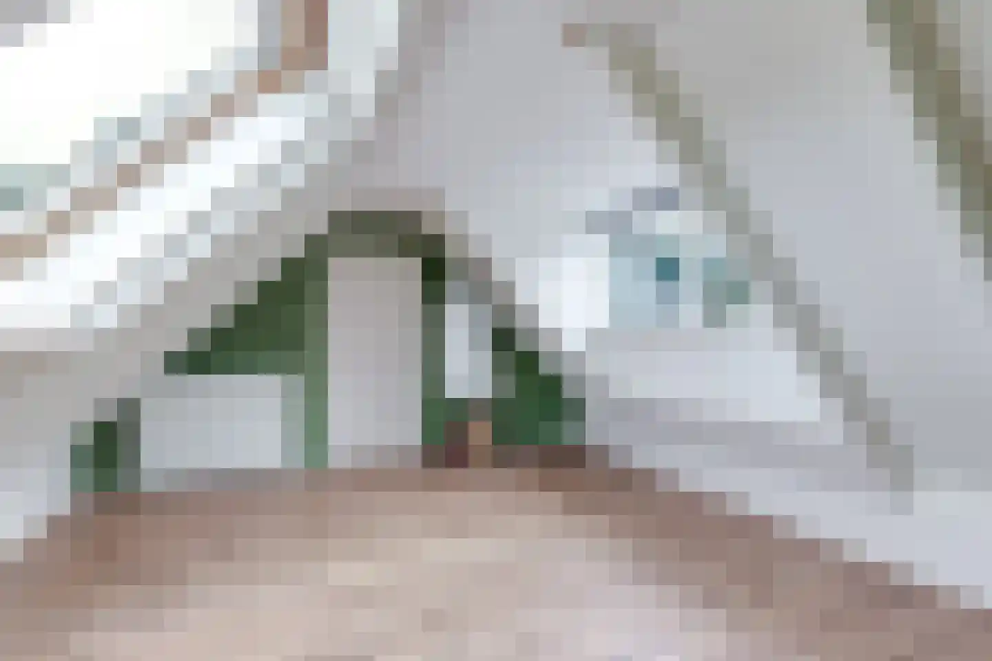 Hof 12 Midwoud thumbnail 42
