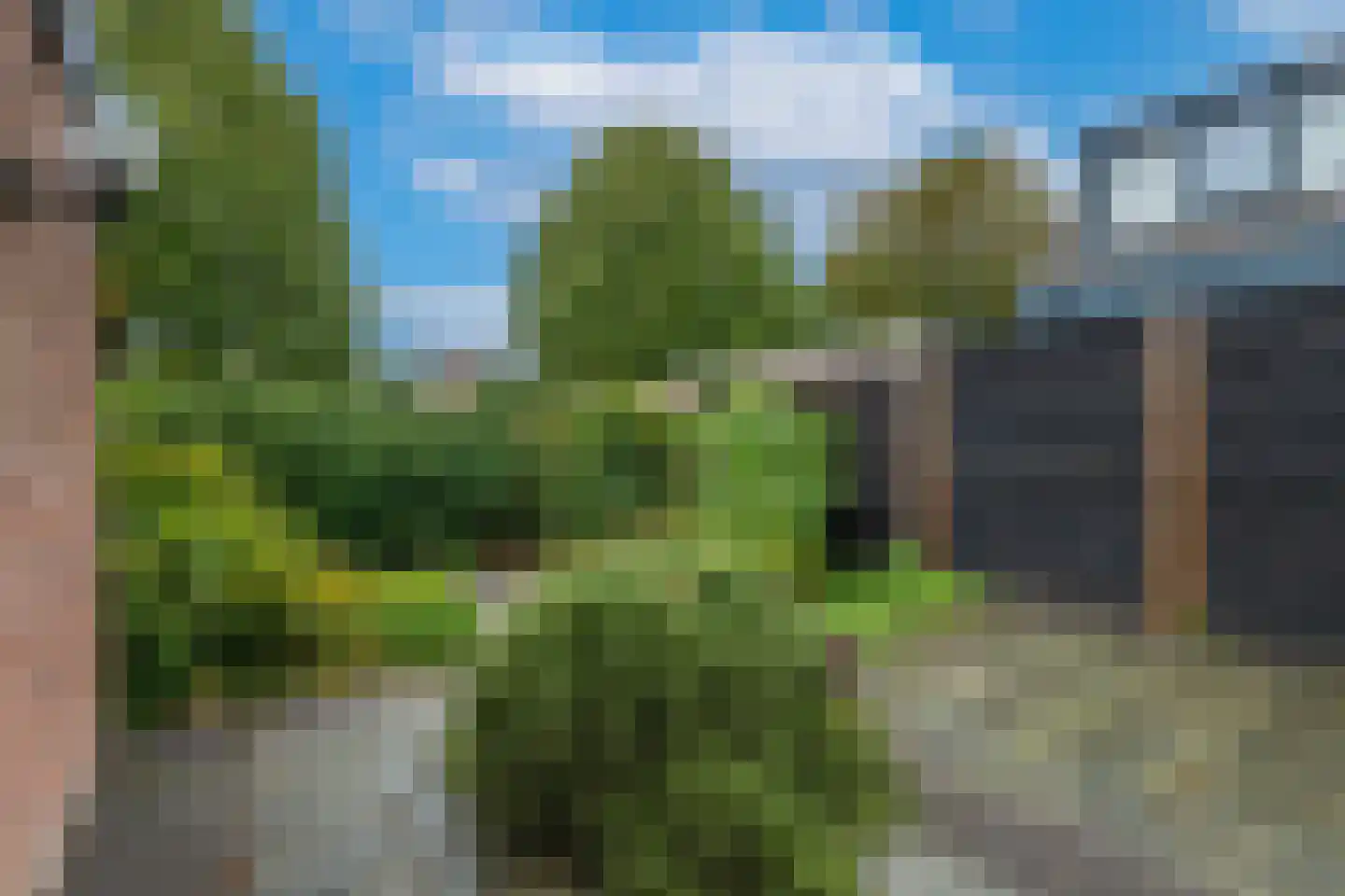 Hof 12 Midwoud thumbnail 46
