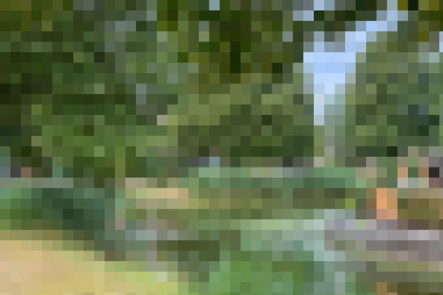 Hof 12 Midwoud thumbnail 53