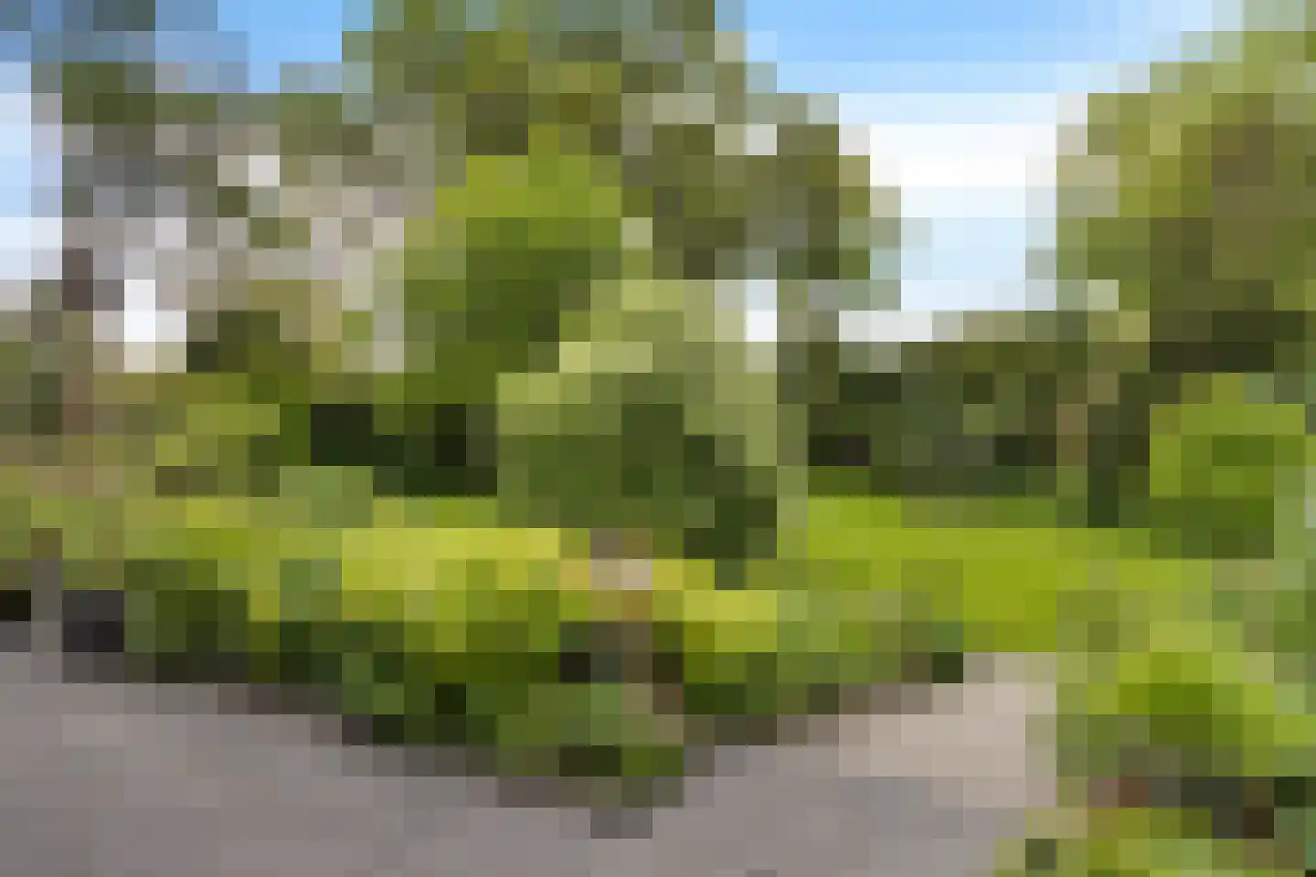 Hôf 15 Wirdum thumbnail 10